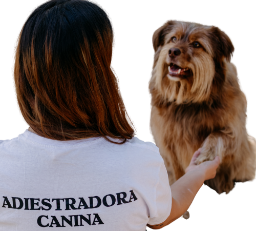 Diseño sin título (2)